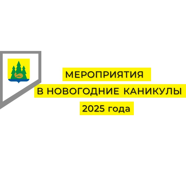 Мероприятия на новогодние каникулы 2025.