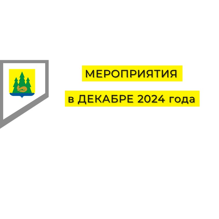 Массовые мероприятия в декабре по Якшур-Бодьинскому району.