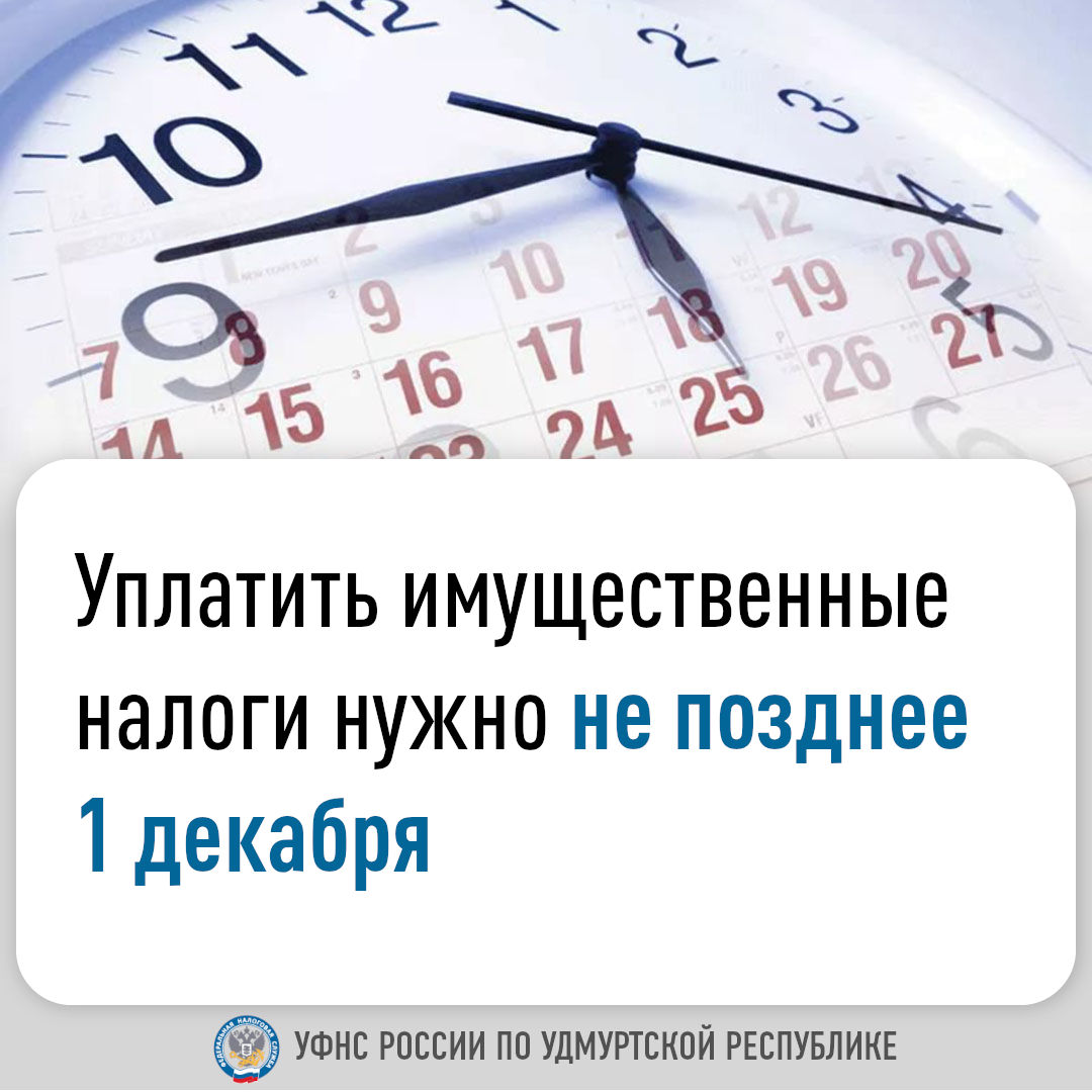 Уплатить имущественные налоги нужно не позднее 1 декабря.