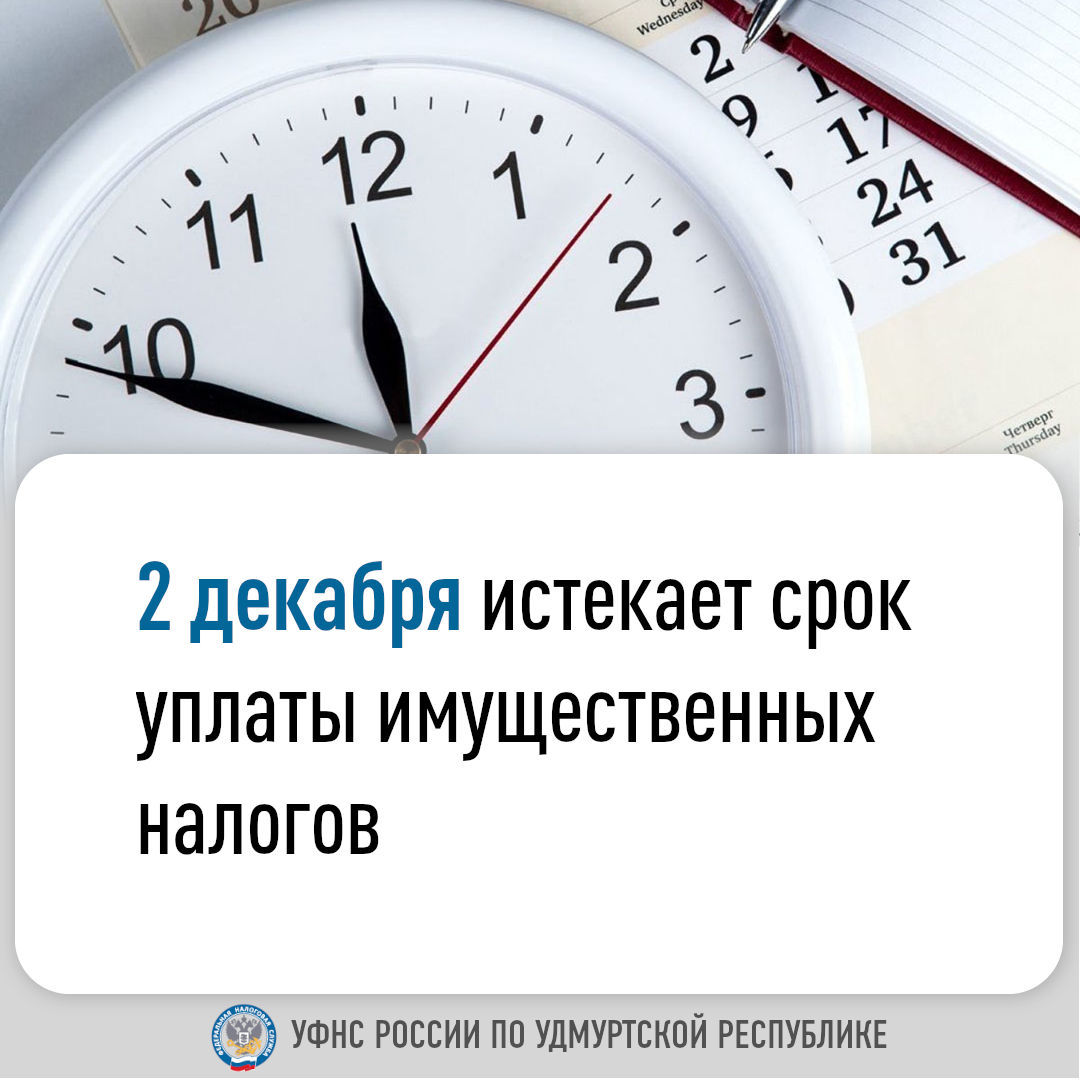 2 декабря истекает срок уплаты имущественных налогов.