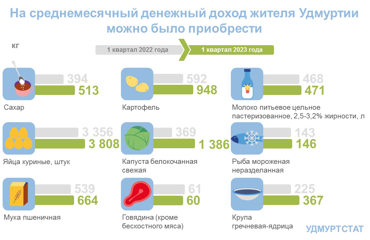 На что хватает среднедушевого дохода населения республики.