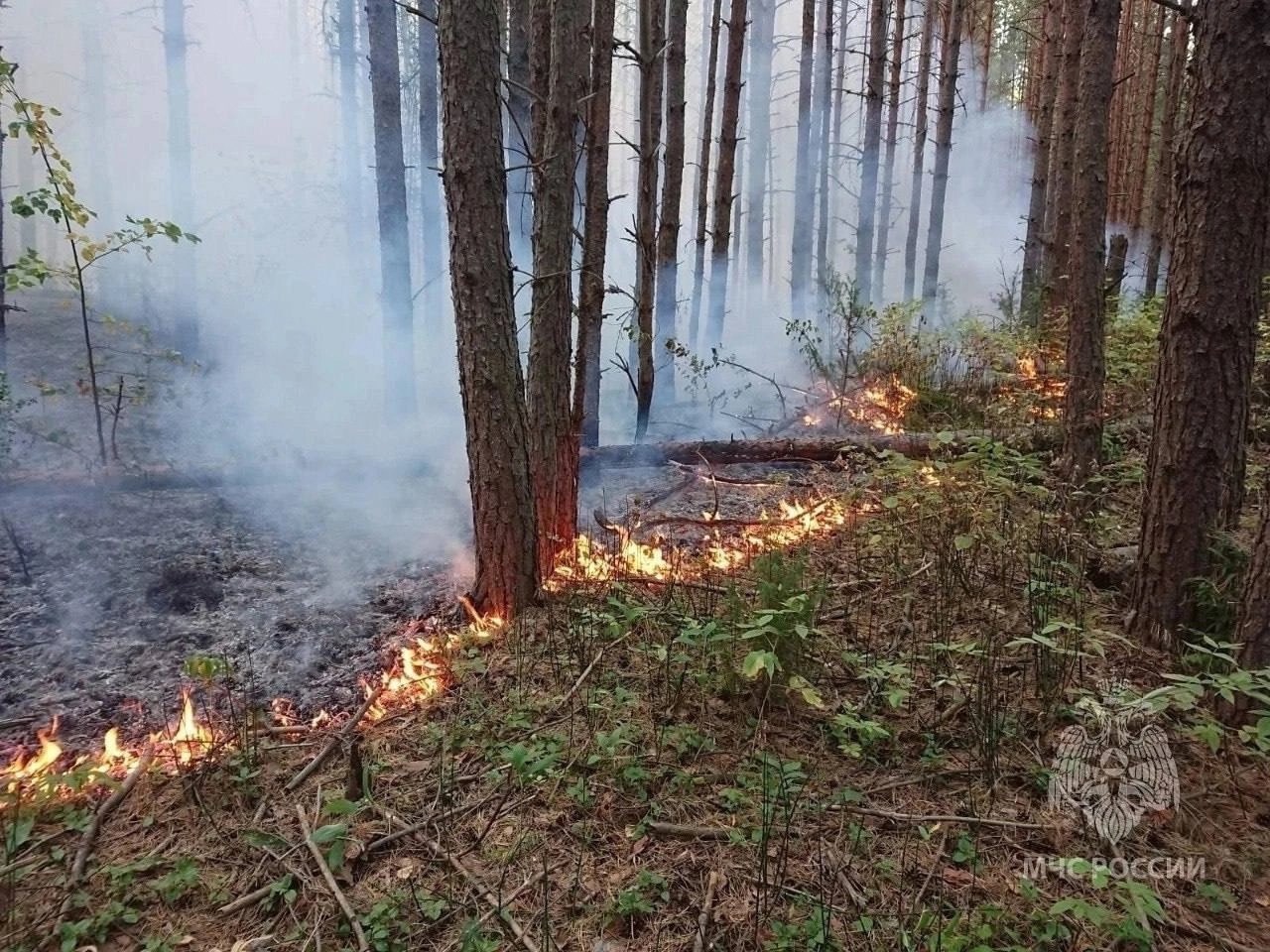 Жара #погода.