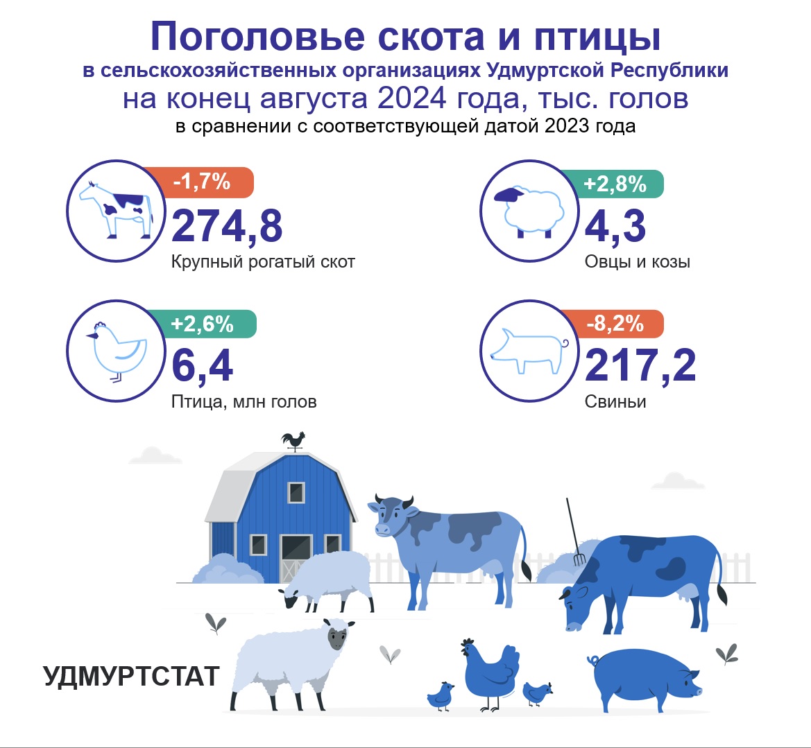 Поголовье скота и птицы на конец августа 2024 года.