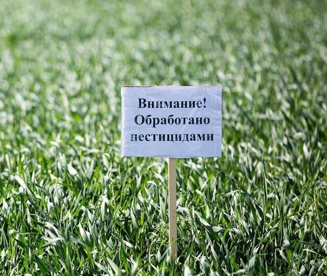 Вниманию пчеловодов! Химическая обработка полей..