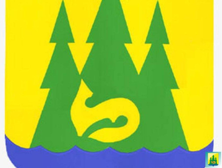 25 лет районным органам местного самоуправления.